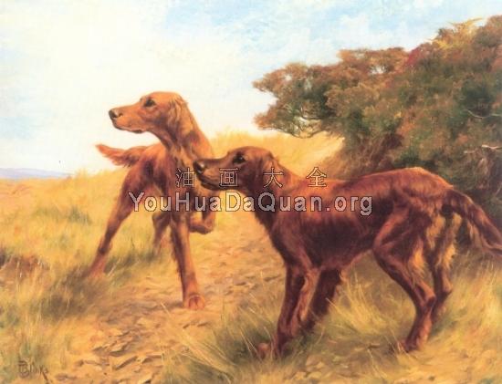 Irish Setters - 托马斯·布林克斯